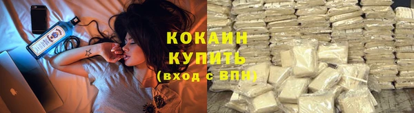 гидра Лагань