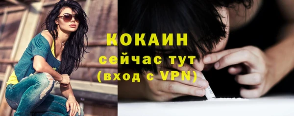 гидра Лагань