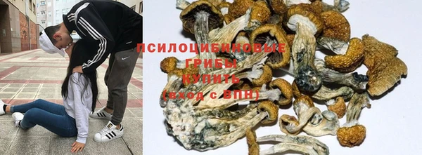гидра Лагань
