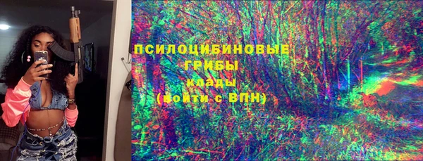 spice Ладушкин