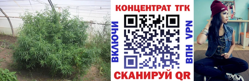 Дистиллят ТГК жижа  Купить  Мышкин 