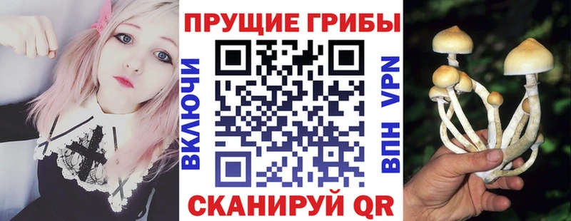 Купить закладки  Мышкин  Галлюциногенные грибы прущие грибы 